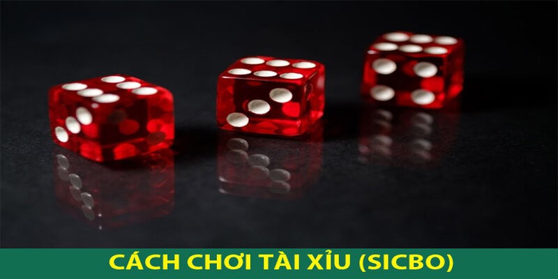 Cách bắt cầu chính xác từ chuyên gia nhà cái chúng tôi