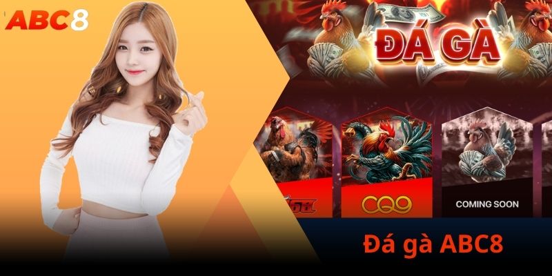 Giới thiệu sảnh Live đá gà tại trang chủ ABC8