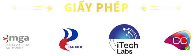 giấy phép abc8